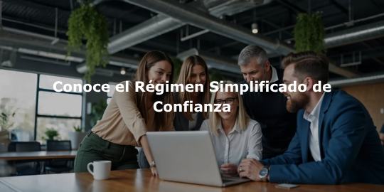 regimen simplificado de confianza